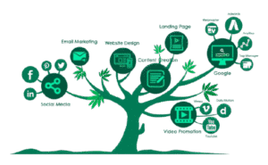 Video Production Services